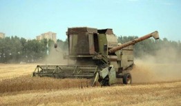 砖哥爆料大炮视频大全集,大炮视频大全集深度解析