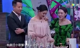 黑粉爆料汪小菲视频大全,黑粉爆料背后的真相揭秘